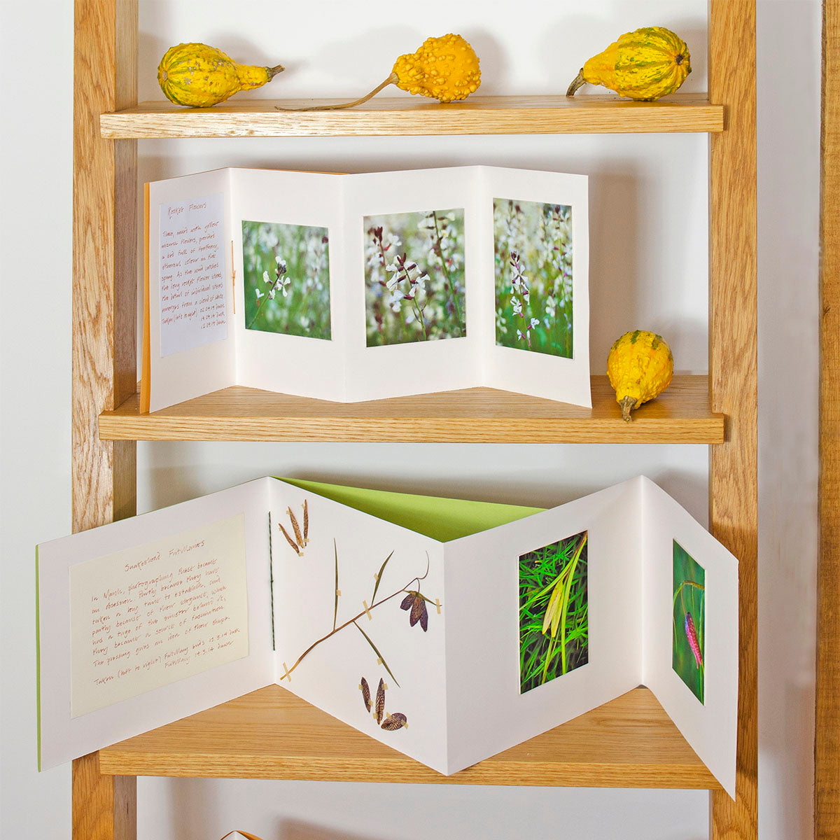 Concertina (Accordion, Leporello) book for photographs, exhibition display by Robin Hutt